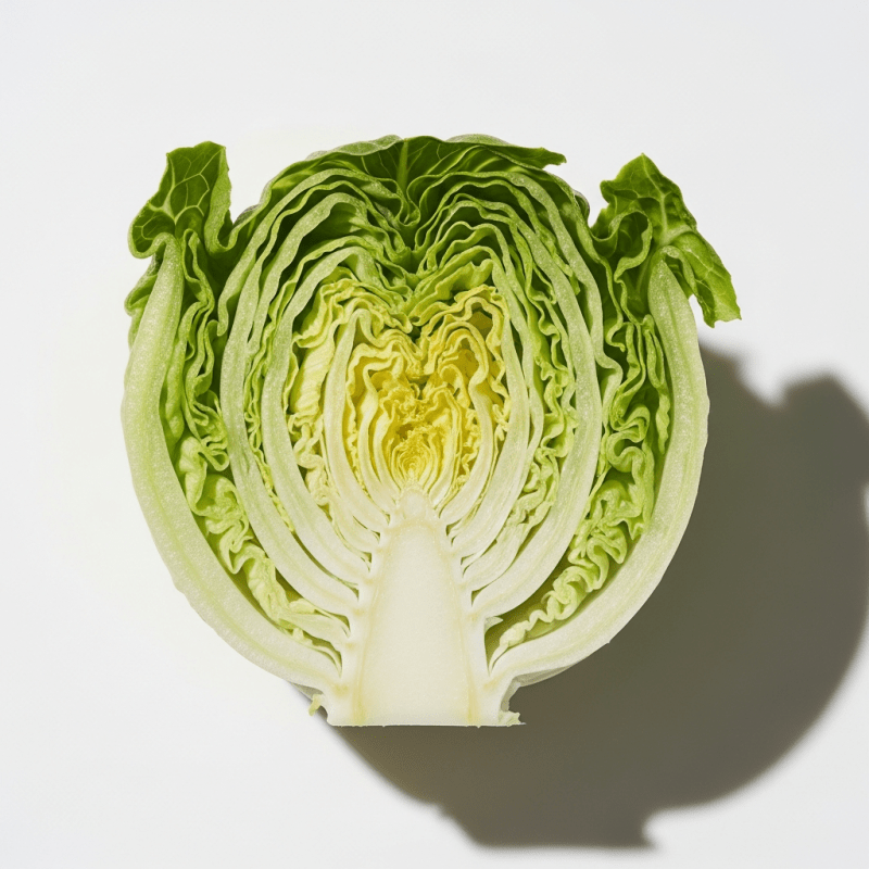 Little Gem Lettuce Little Gem Lettuce Shirt