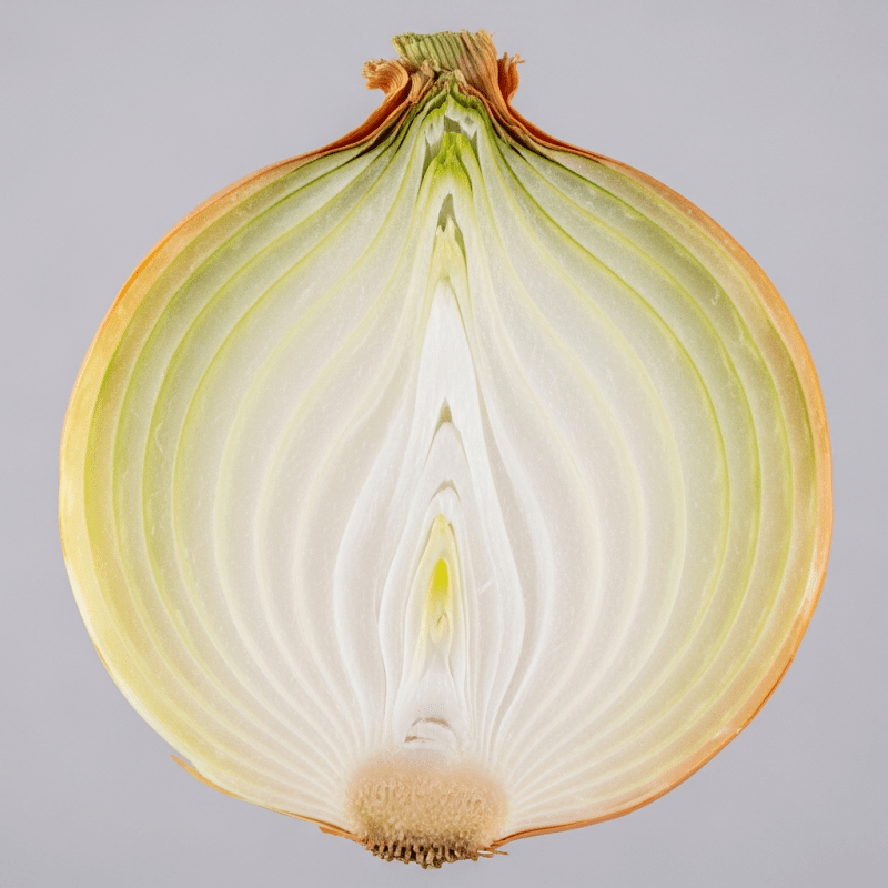 Spanish onion Spanish onion Shirt