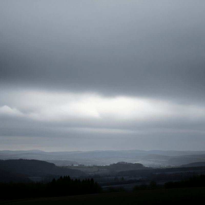 Stratus nebulosus Stratus nebulosus Shirt