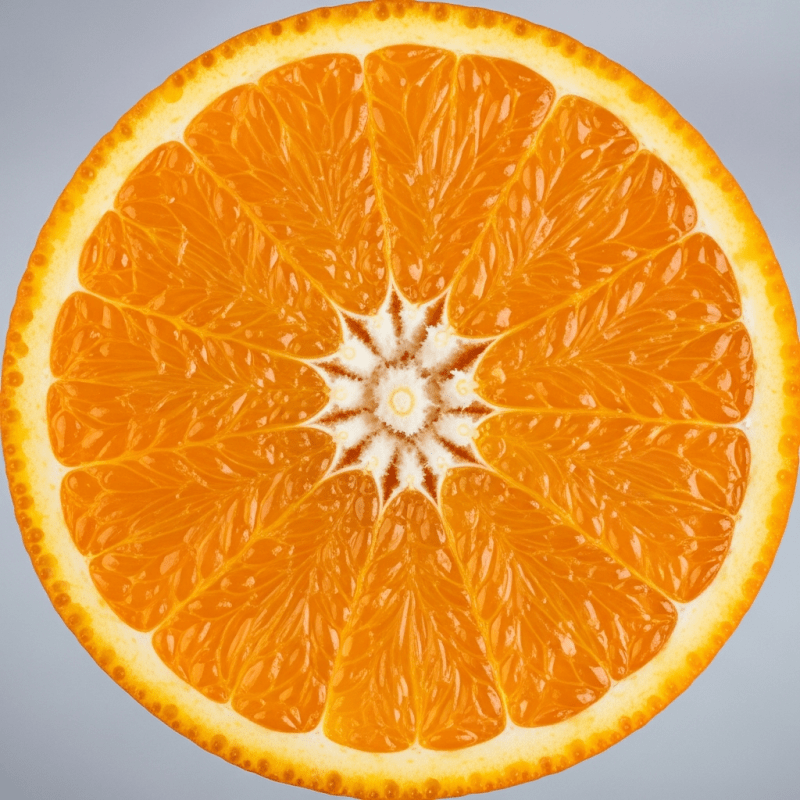 Valencia Valencia Shirt