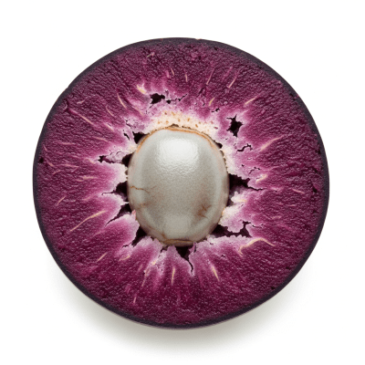 A cross-sectional view of a sliced Acai Berry, part of the taxonomy berries