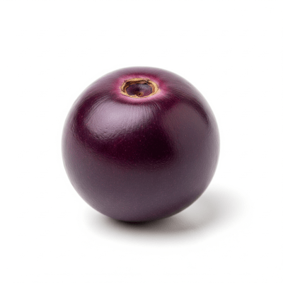 High quality studio photograph of a single Acai Berry, classified under the taxonomy berries