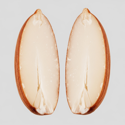Macro close-up image showing the interior cross-section of a Almond (nuts)