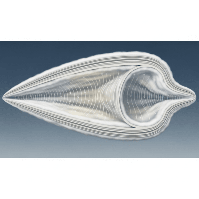Cross-sectional diagram of a Altocumulus lenticularis