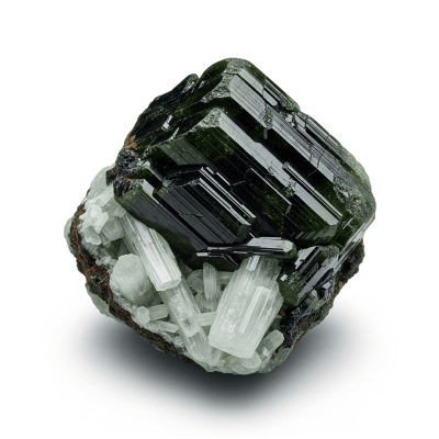 High resolution studio photograph of a single specimen of Amphibole