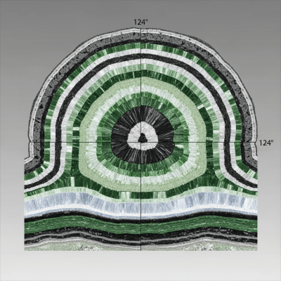 Cross-sectional illustration of Amphibole, of the taxonomy minerals