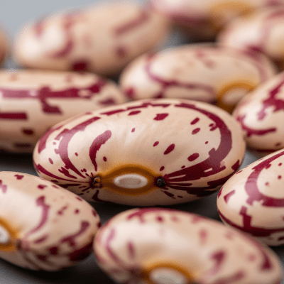 A close-up macro shot of Anasazi Bean (beans) showing its texture, surface details, and natural colors
