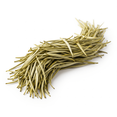 High quality photograph of a Anji Bai Cha, of the taxonomy teas