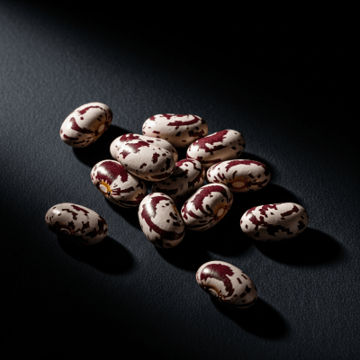 Editorial-style photograph of Appaloosa Bean, part of the taxonomy beans, arranged aesthetically on a dark background with dramatic lighting to highlight its shape and color.