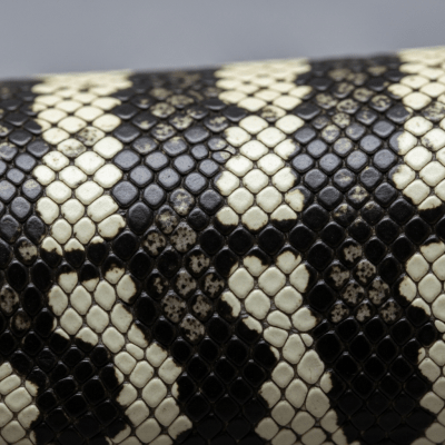 Macro close-up image of the skin texture and scale pattern of a Argentine Black and White Tegu, part of the taxonomy lizards