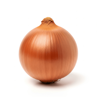 High quality photograph of a single Australian Brown onion