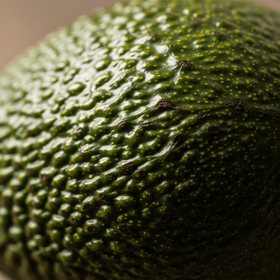 Macro shot capturing the surface texture and color details of the Avocado, within the fruits taxonomy
