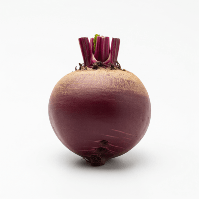 High resolution studio photograph of a single Beetroot