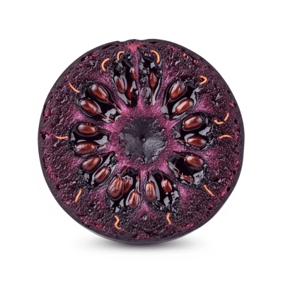 A cross-sectional view of a sliced Bilberry, part of the taxonomy berries