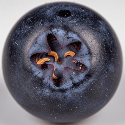 A detailed macro close-up of the surface texture of a fresh Bilberry