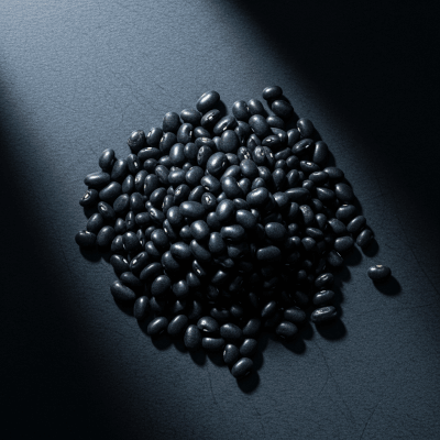 Editorial-style photograph of Black Bean, part of the taxonomy beans, arranged aesthetically on a dark background with dramatic lighting to highlight its shape and color.
