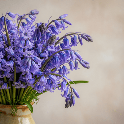 Image of a Bluebell (flowers) arranged in a traditional bouquet or floral arrangement