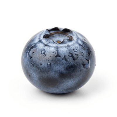 High quality studio photograph of a single Blueberry, classified under the taxonomy berries