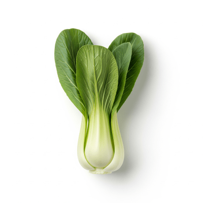 High resolution studio photograph of a single Bok Choy