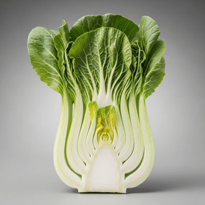 Detailed cross-sectional view of a fresh Bok Choy
