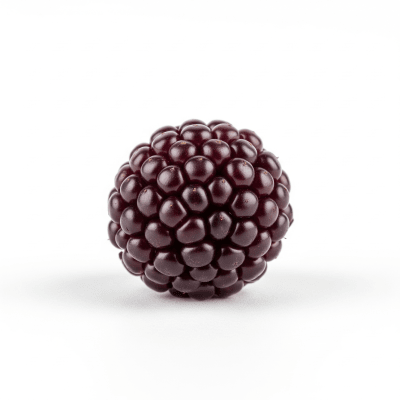 High quality studio photograph of a single Buffaloberry, classified under the taxonomy berries