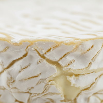 A close-up macro photograph of the rind and surface texture of a Camembert