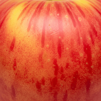 A detailed macro shot focusing on the skin texture and color variation of a Cameo