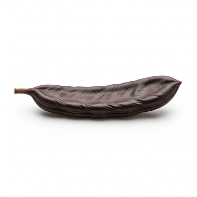 High resolution studio photograph of a single Carob
