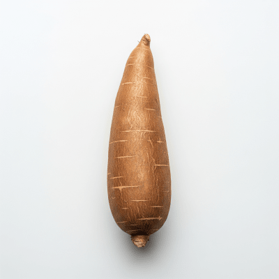 High resolution studio photograph of a single Cassava