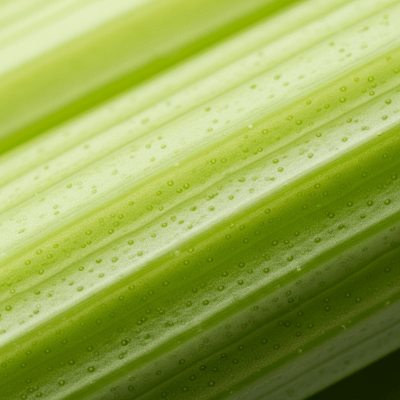 Close-up macro photograph of surface details and textures of a single Celery