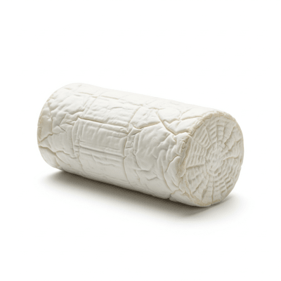 High quality studio photograph of a single Chèvre