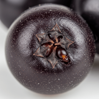 A detailed macro close-up of the surface texture of a fresh Chokeberry