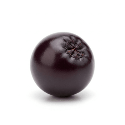 High quality studio photograph of a single Chokeberry, classified under the taxonomy berries