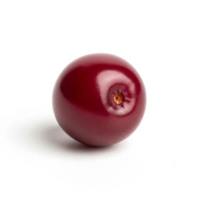 High quality studio photograph of a single Chokecherry, classified under the taxonomy berries