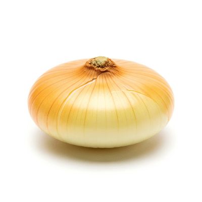 High quality photograph of a single Cipollini onion