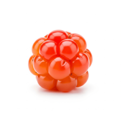 High quality studio photograph of a single Cloudberry, classified under the taxonomy berries