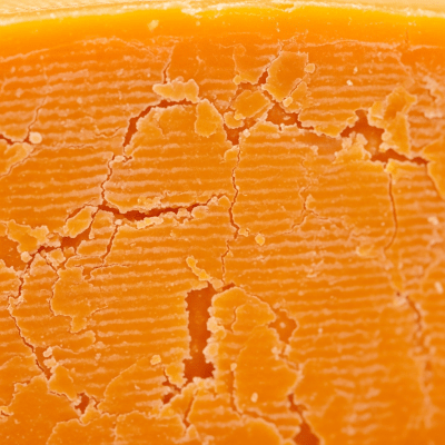 A close-up macro photograph of the rind and surface texture of a Colby