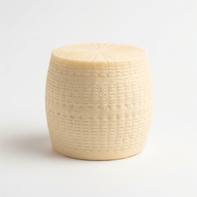 High quality studio photograph of a single Cotija