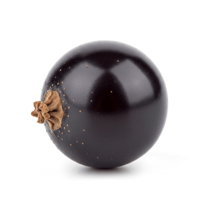 High quality studio photograph of a single Currant from the fruits taxonomy