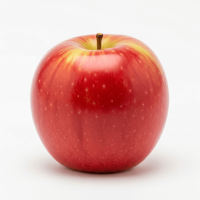 High quality studio photograph of a single Discovery