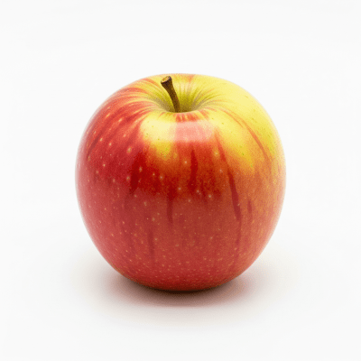 High quality studio photograph of a single Elstar