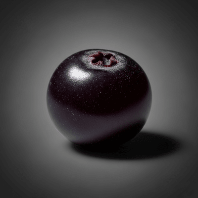 An editorial-quality hero shot of a single Farkleberry from the taxonomy berries.