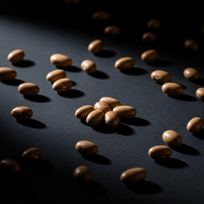 Editorial-style photograph of Field Bean, part of the taxonomy beans, arranged aesthetically on a dark background with dramatic lighting to highlight its shape and color.