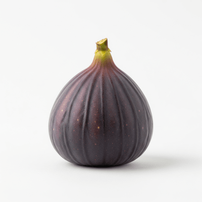 High quality studio photograph of a single Fig from the fruits taxonomy