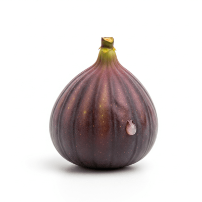 High quality photograph of a single Fig