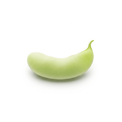 High quality studio photograph of a single Flageolet Bean