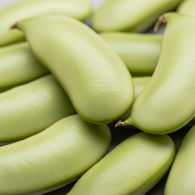A close-up macro shot of Flageolet Bean (beans) showing its texture, surface details, and natural colors