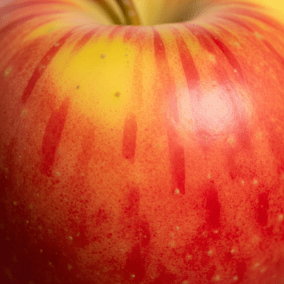 A detailed macro shot focusing on the skin texture and color variation of a Gala
