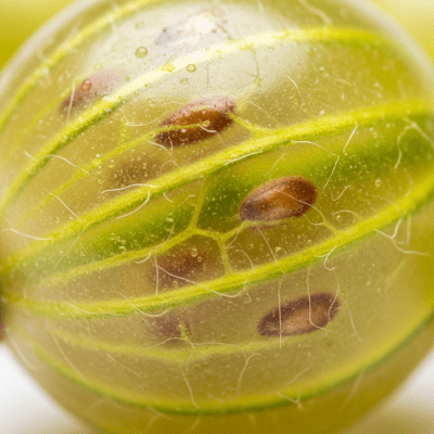 A detailed macro close-up of the surface texture of a fresh Gooseberry