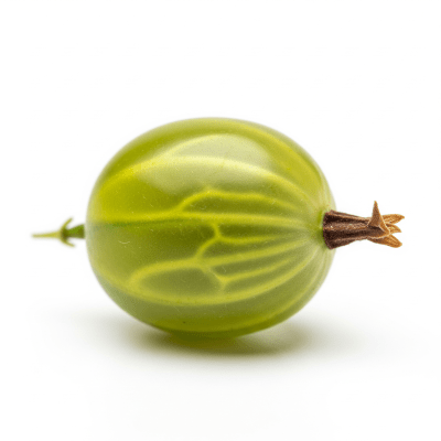 High quality studio photograph of a single Gooseberry from the fruits taxonomy